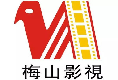 關于梅山影視廣播電視節目制作經營的鄭重聲明